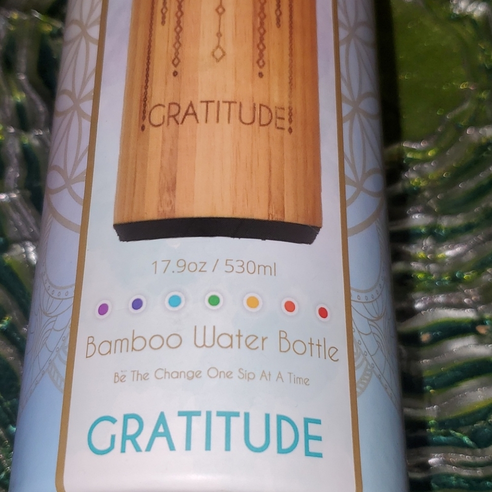 Bhavana Bamboo Infusion Water Bottle 16.9oz